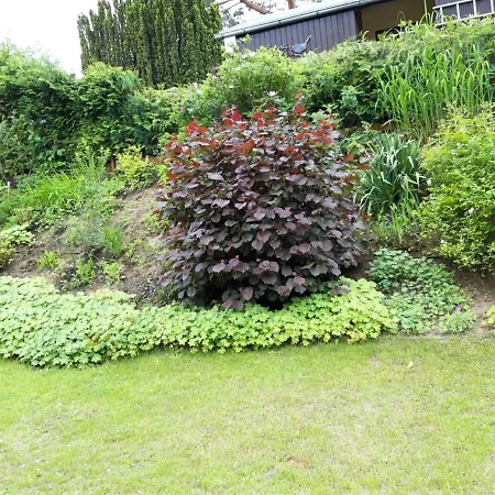 Brigitte's Ferienhaus *